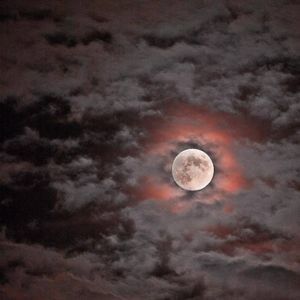 Meet your Posher, Debra